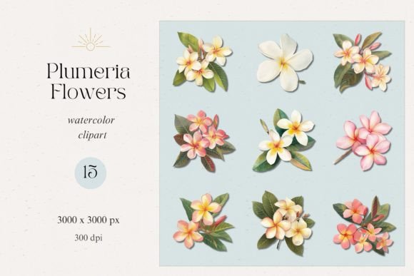 Plumeria Flowers Watercolor Clipart Set for Summer Designs
