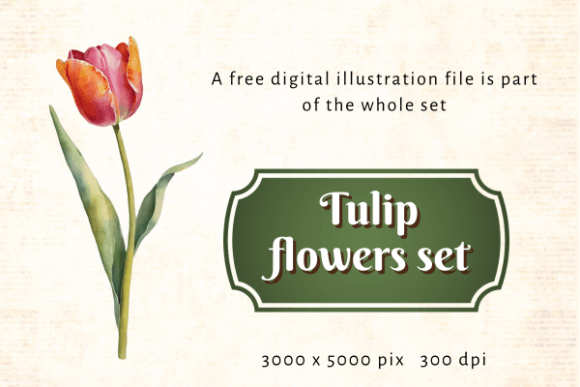 Tulip as a Strategic Asset for Creative and Business Projects